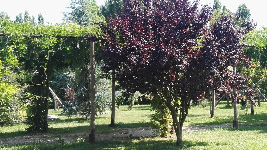 Tenuta Le Pantanelle Βίλα Sezze Εξωτερικό φωτογραφία